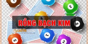 Rồng bạch kim là trang soi cầu lô có tính chính xác cao 